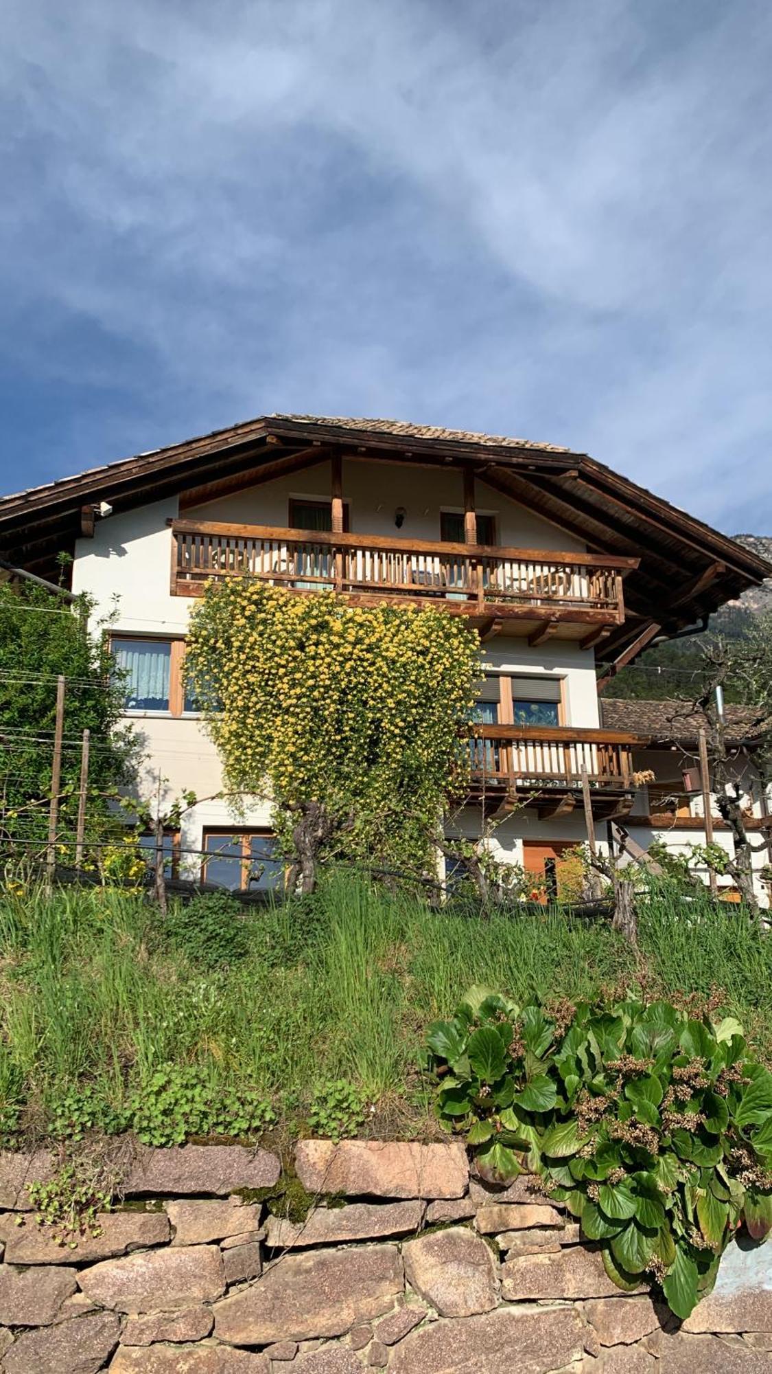 Gfillhof Ferienwohnung 1 Appiano Sulla Strada Del Vino Extérieur photo